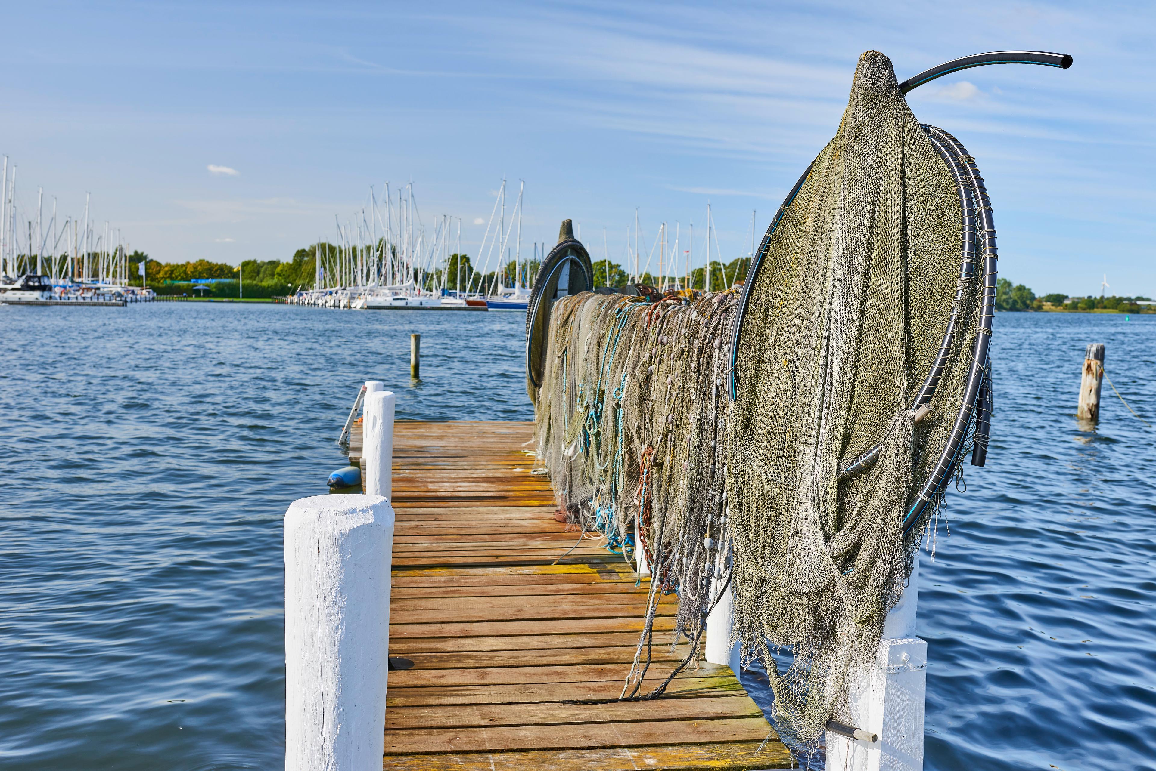 Fischernetze hängen auf einem Holzsteg am Wasser, mit Segelbooten im Hintergrund