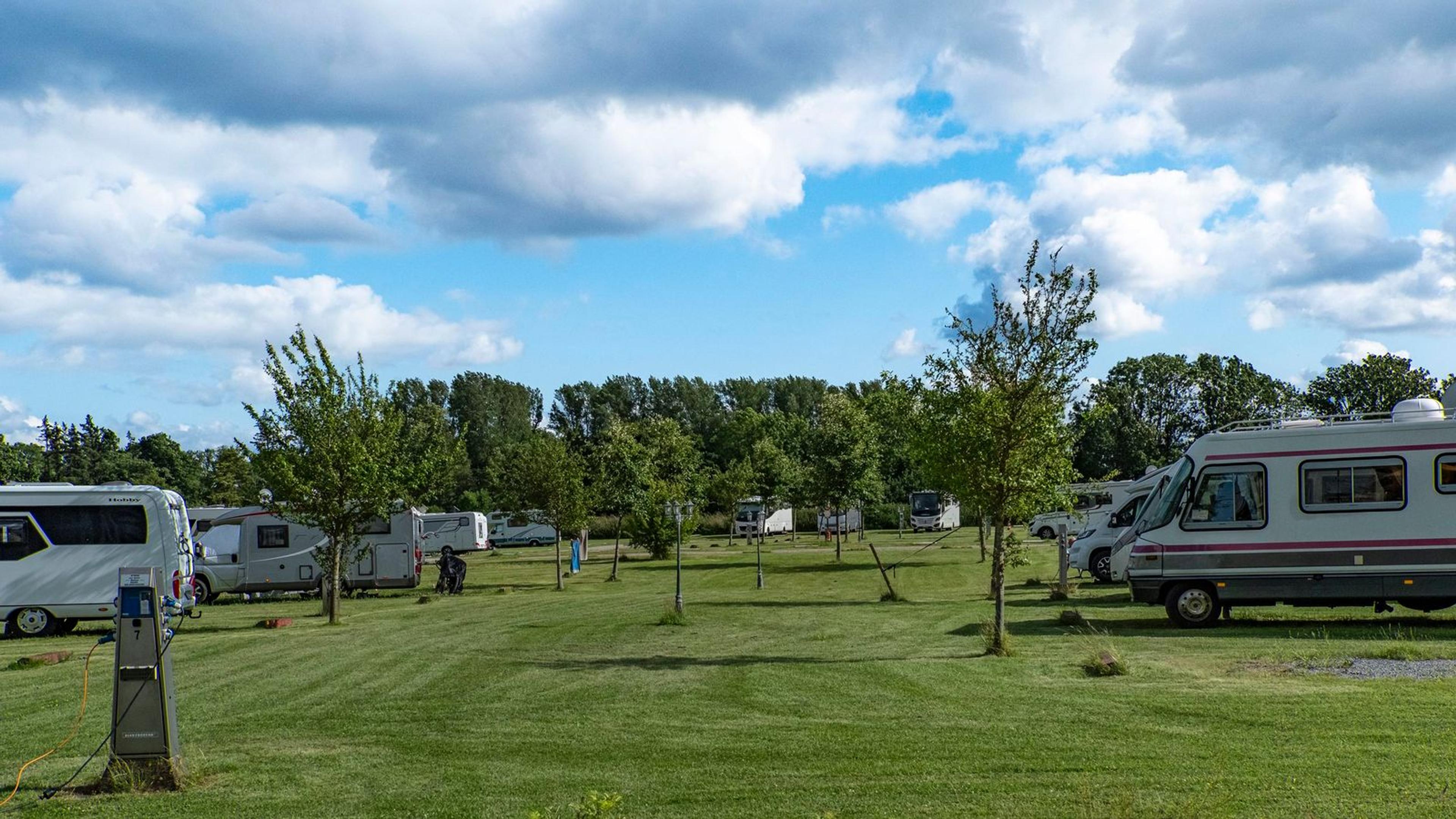 Mehrere Wohnmobile stehen auf einem gepflegten Campingplatz mit grüner Wiese und Bäumen