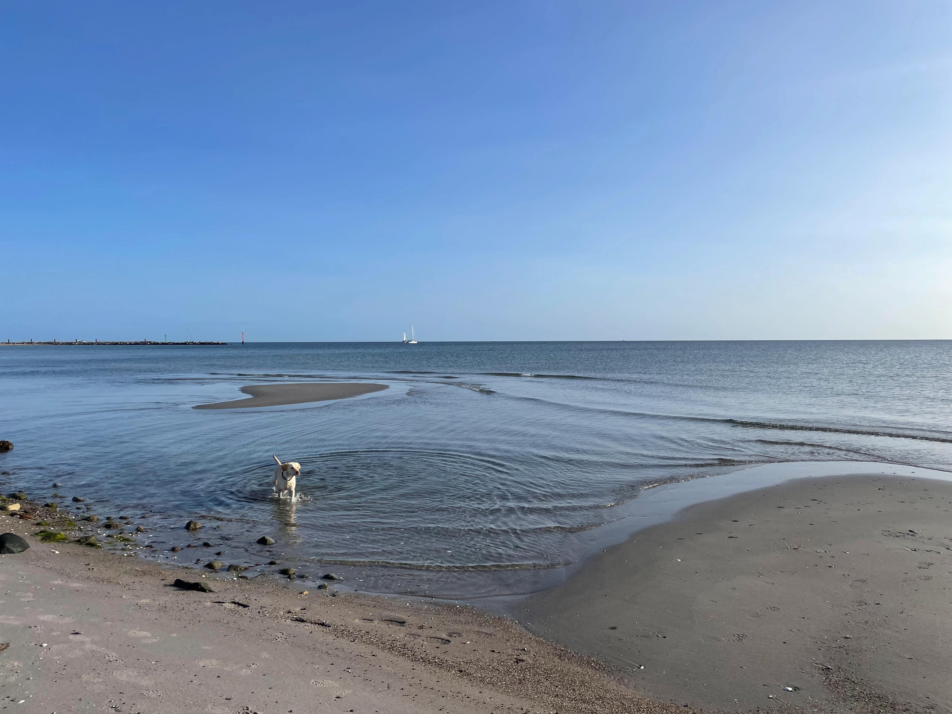 Blog Thumbnail Image