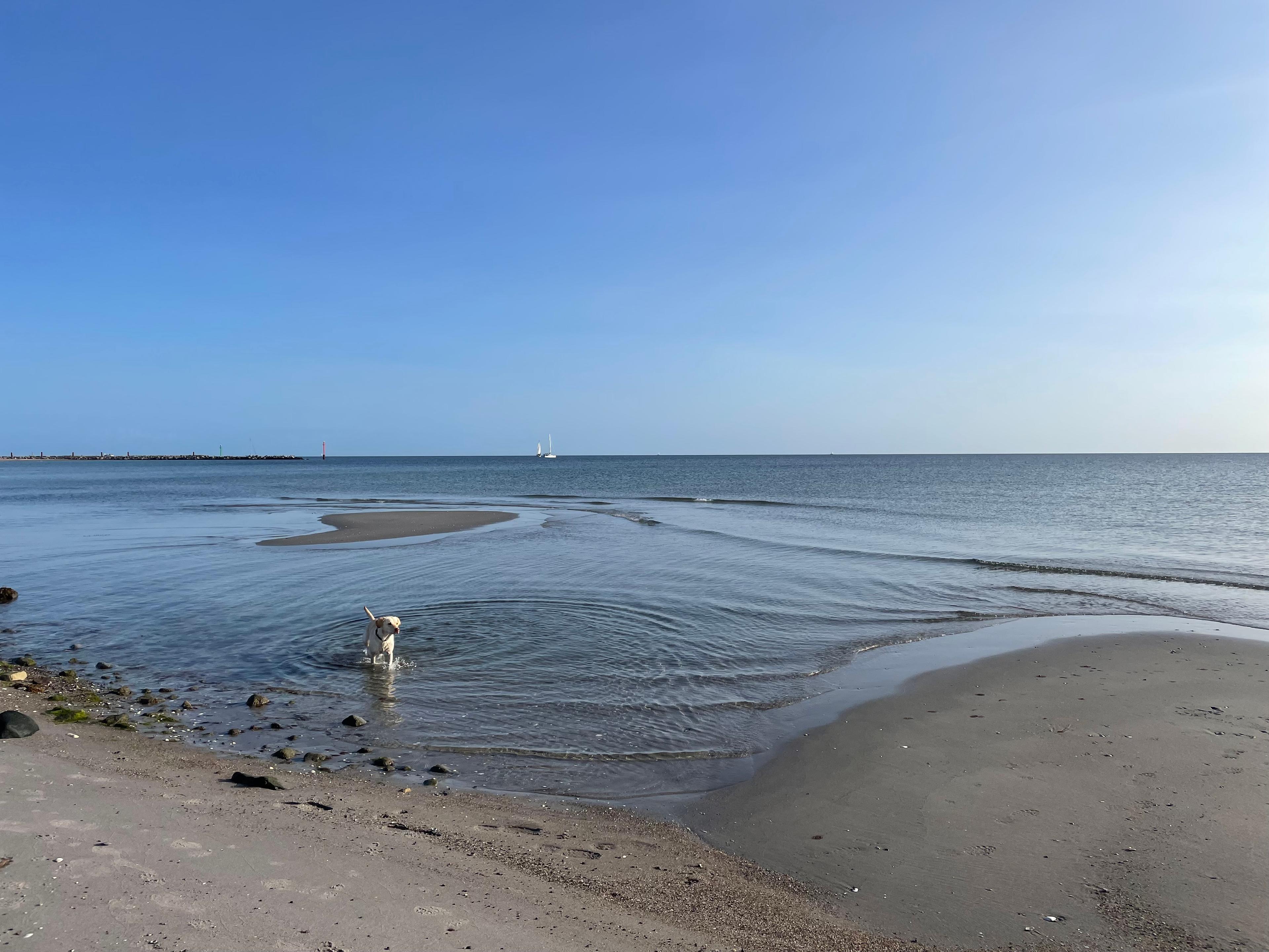 Blog Thumbnail Image