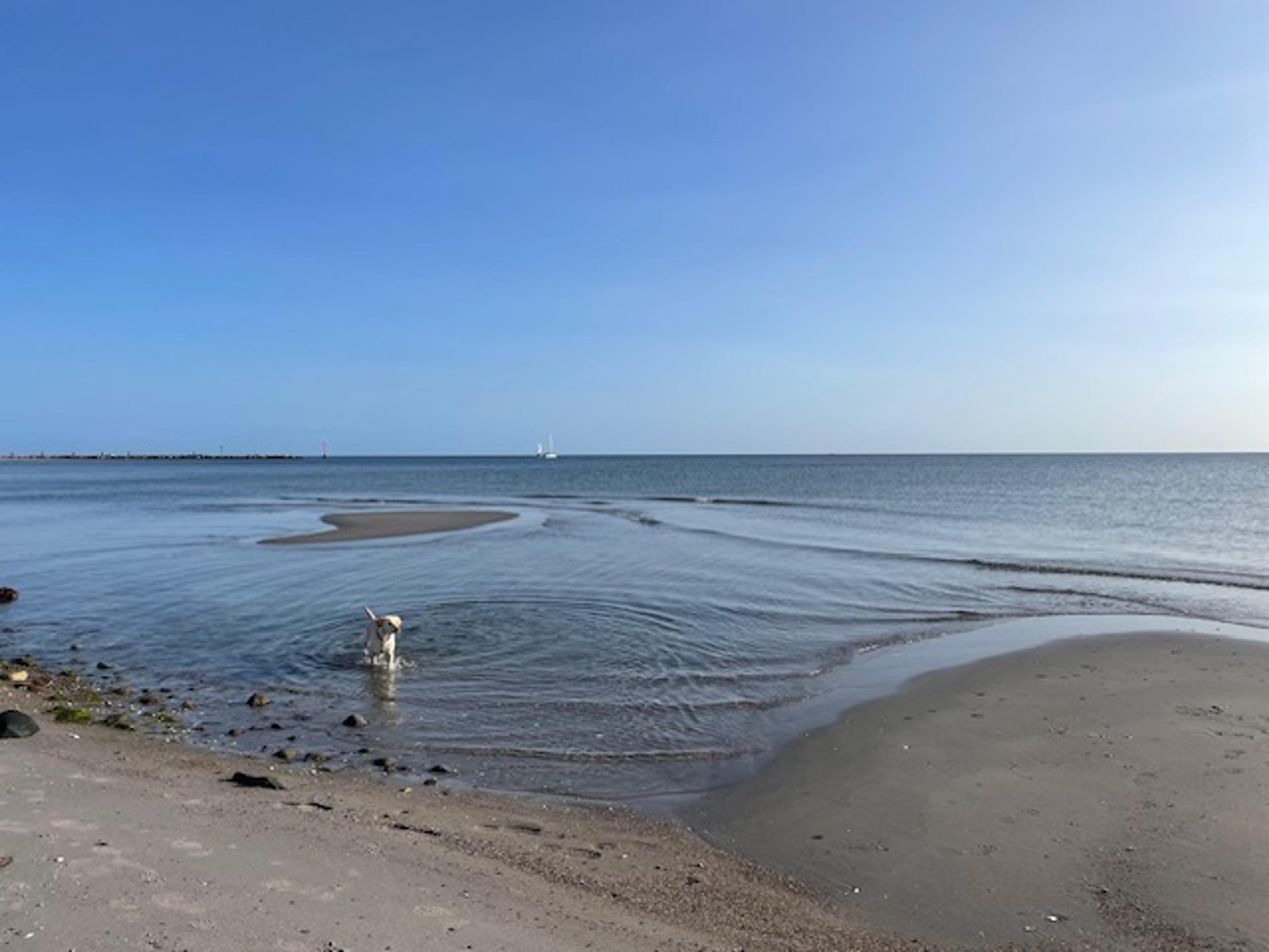 Blog Thumbnail Image