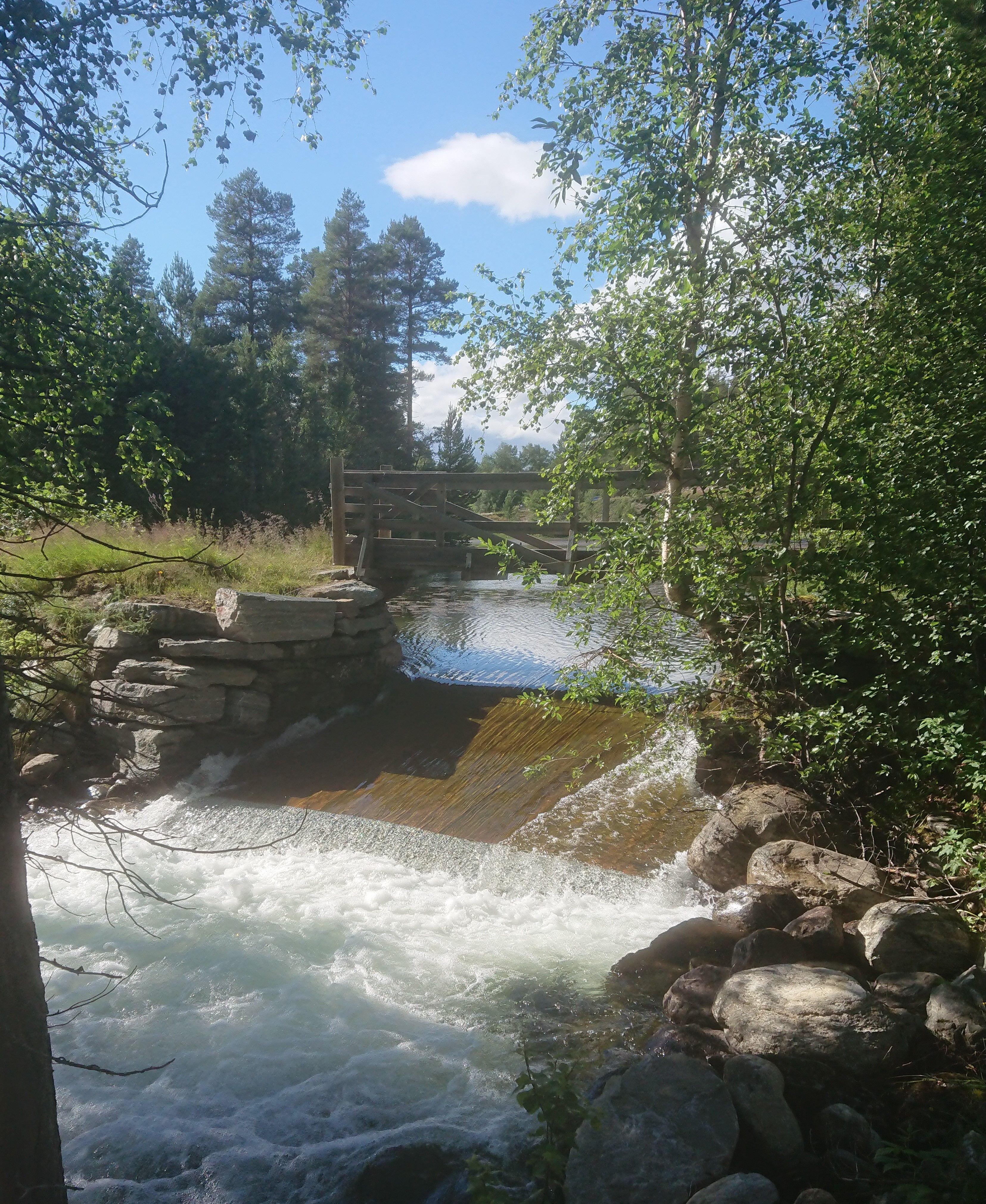 Lesjaskogsvatnet ved utløpet mot Lesjaverk