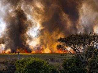 bushfire in the distance
