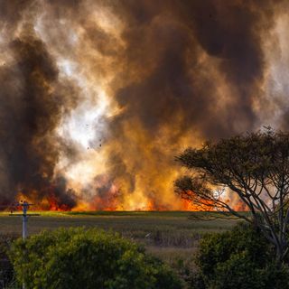 bushfire in the distance
