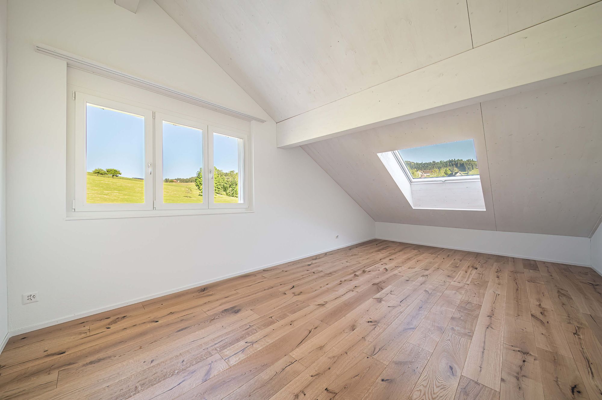 Image of the project