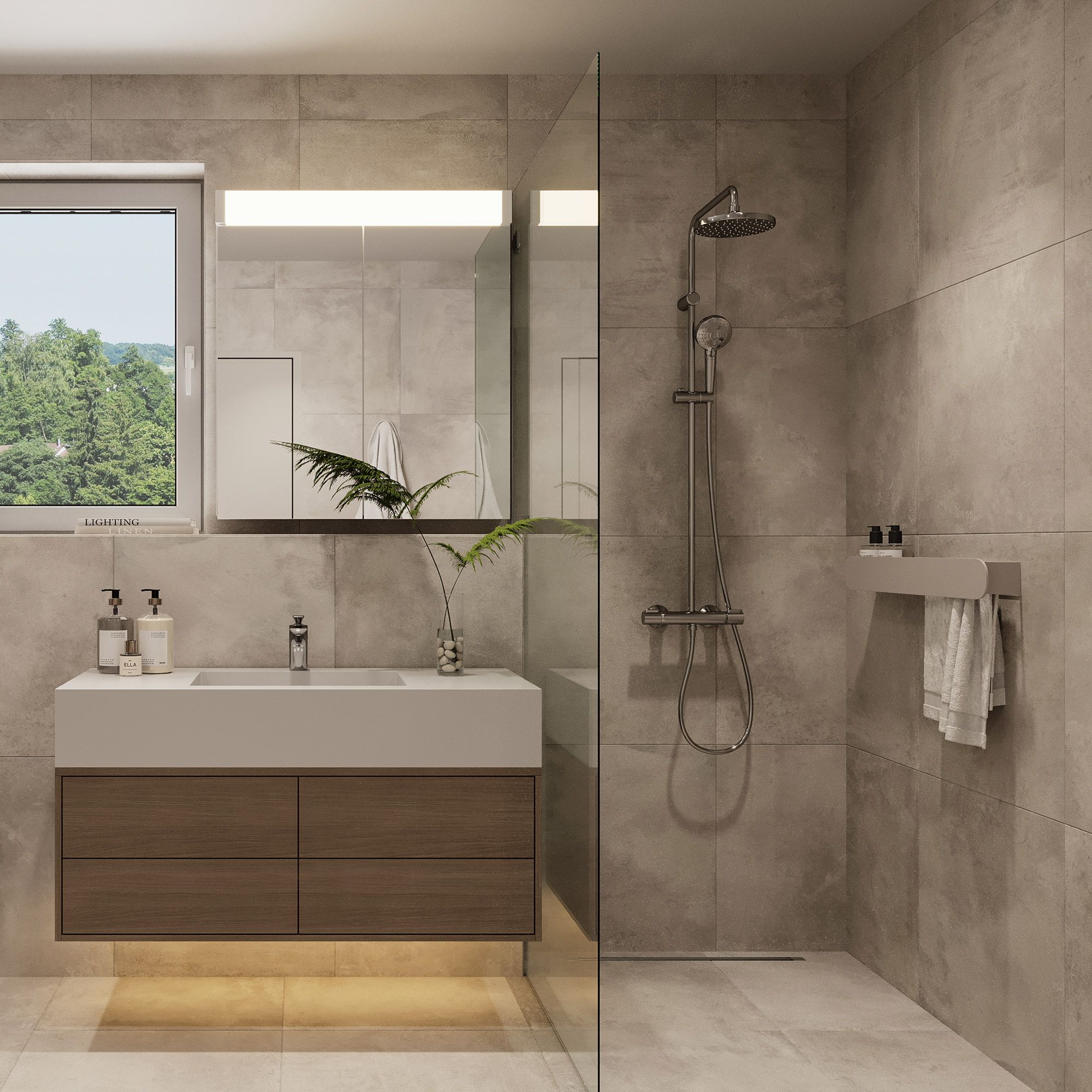 Image of the project