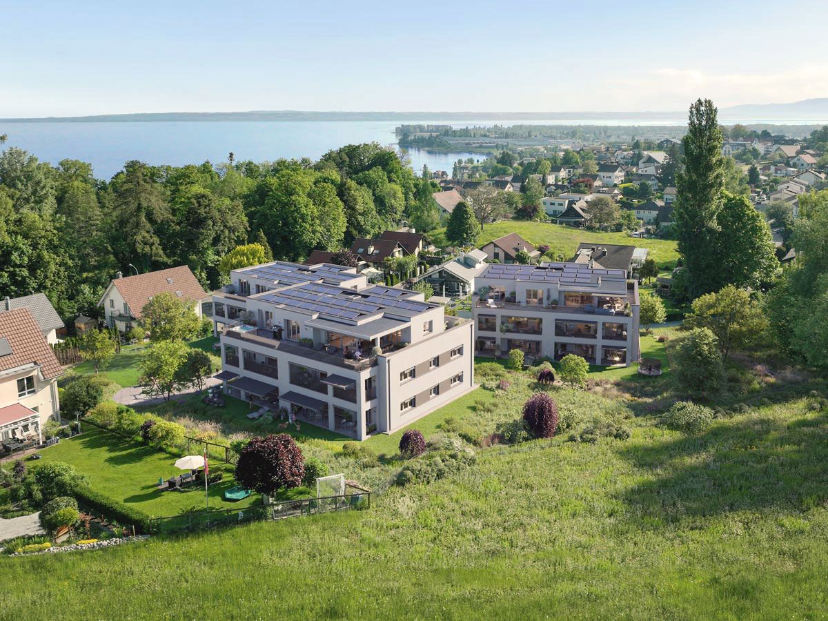 Milestones main image