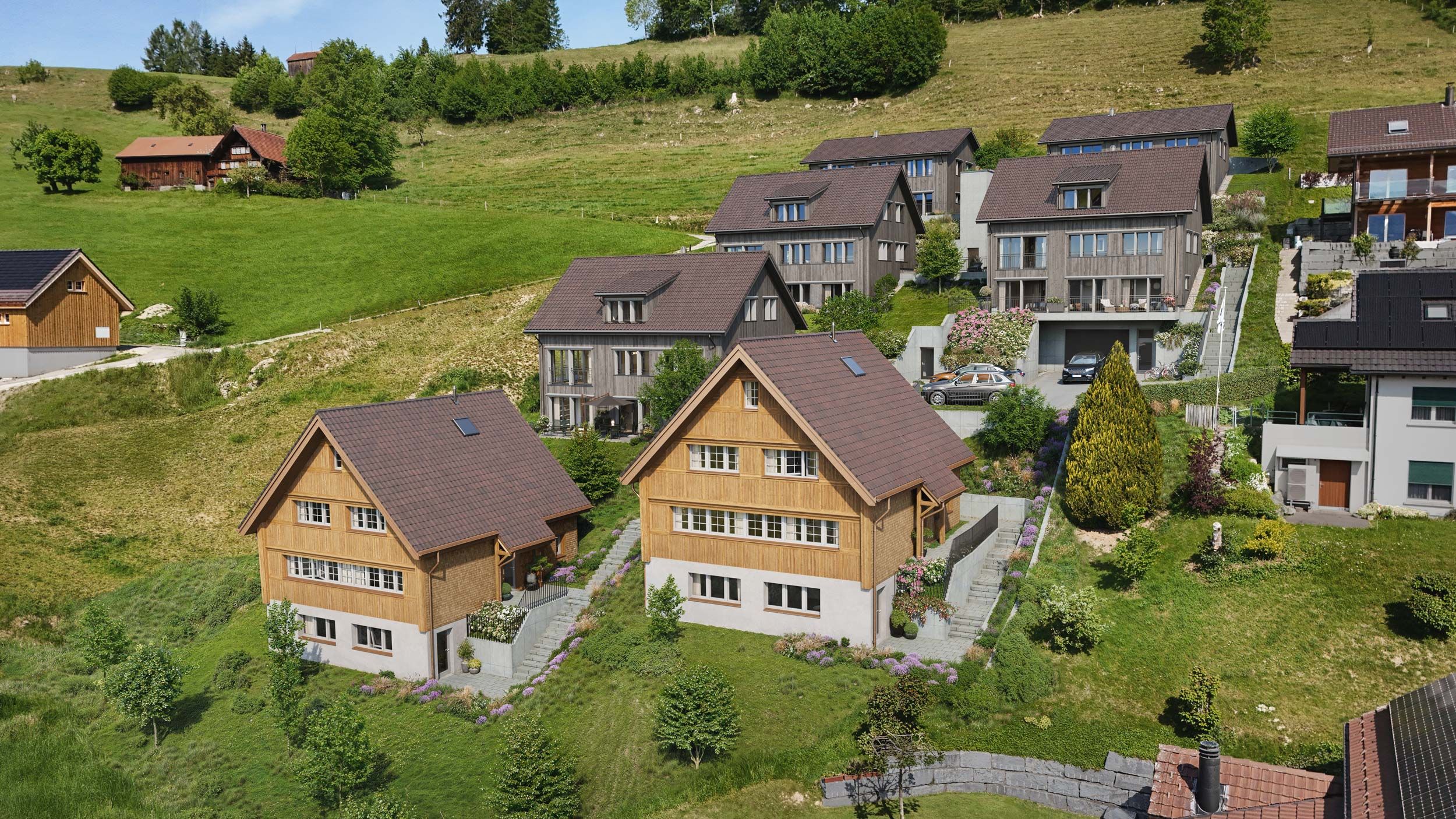Image of the project