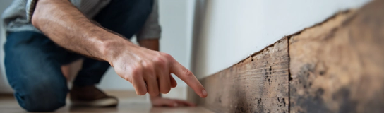 Pest Inspection Requirements for Mortgages: 2025 Complete Guide