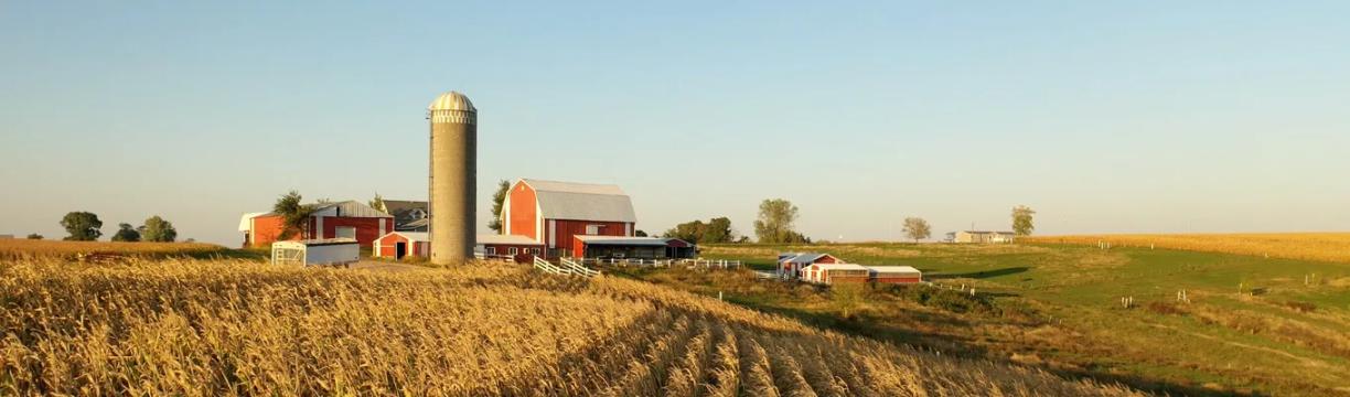 USDA Loans in Iowa: Your 2026 Guide to Eligible Areas and Income Limits