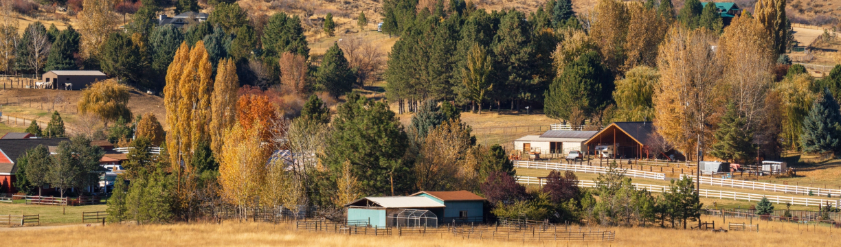 FHA Loans in Idaho: Your 2026 Guide to Limits, Requirements, and Down Payment Help