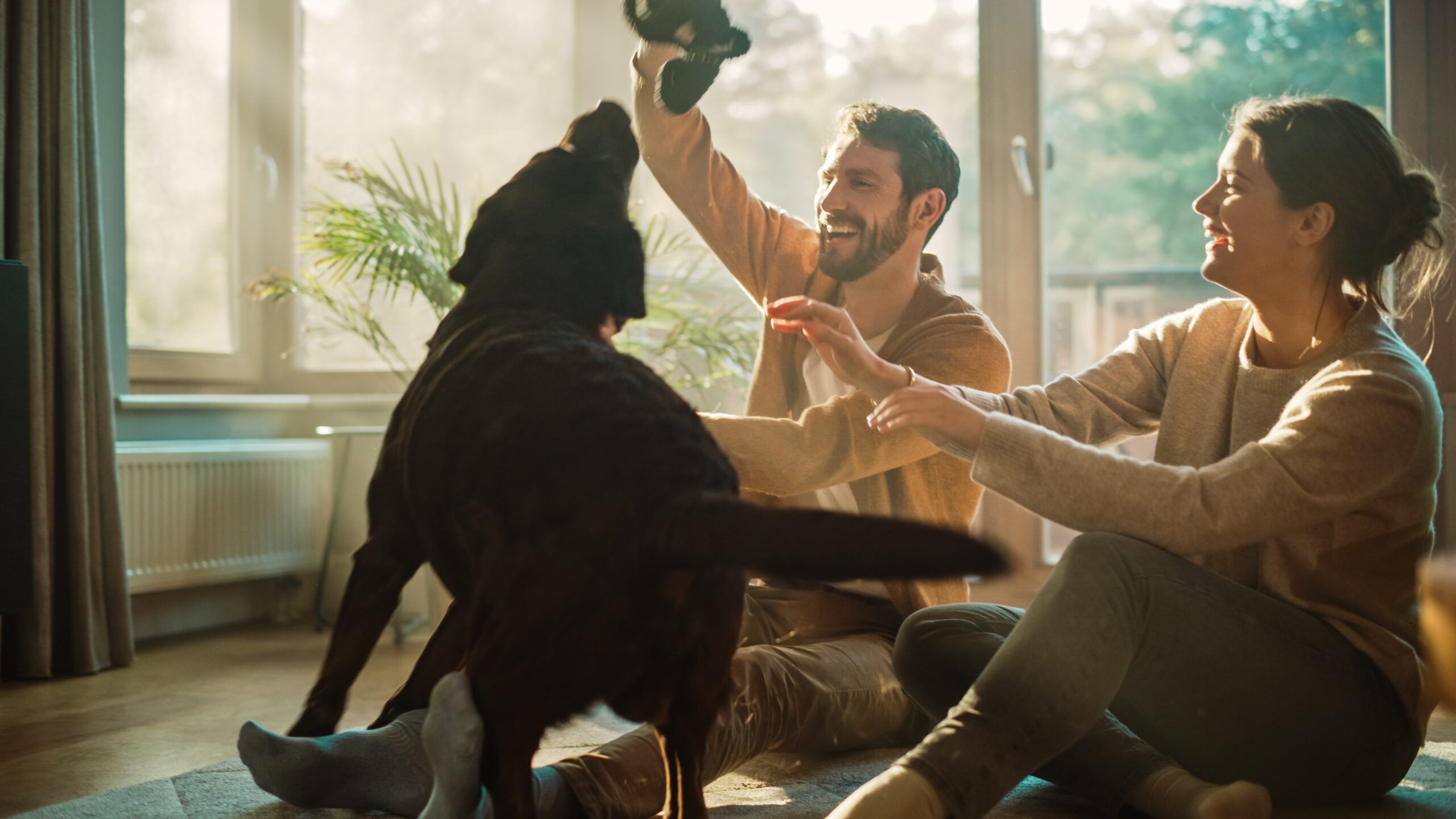 Complete Guide on How to Get a Mortgage