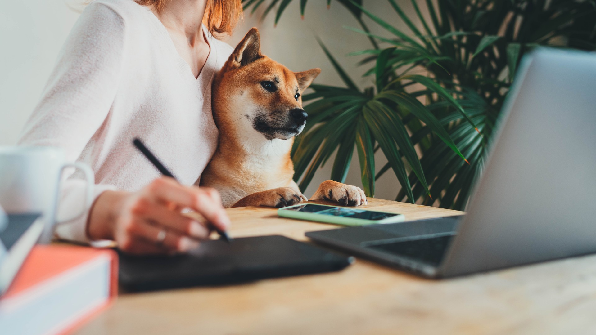Cover Image for Part Time Business Insurance - 5 Things To Know