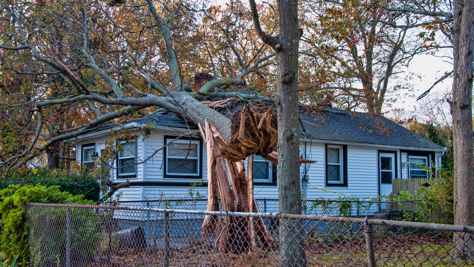 Cover Image for Property Damage Insurance Claims Process: What To Expect