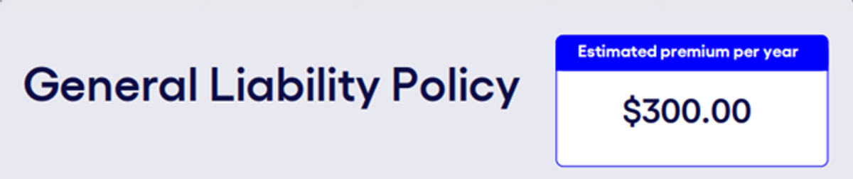 Screenshot displaying the final pricing section of a general liability policy, with a total premium amount of $300.