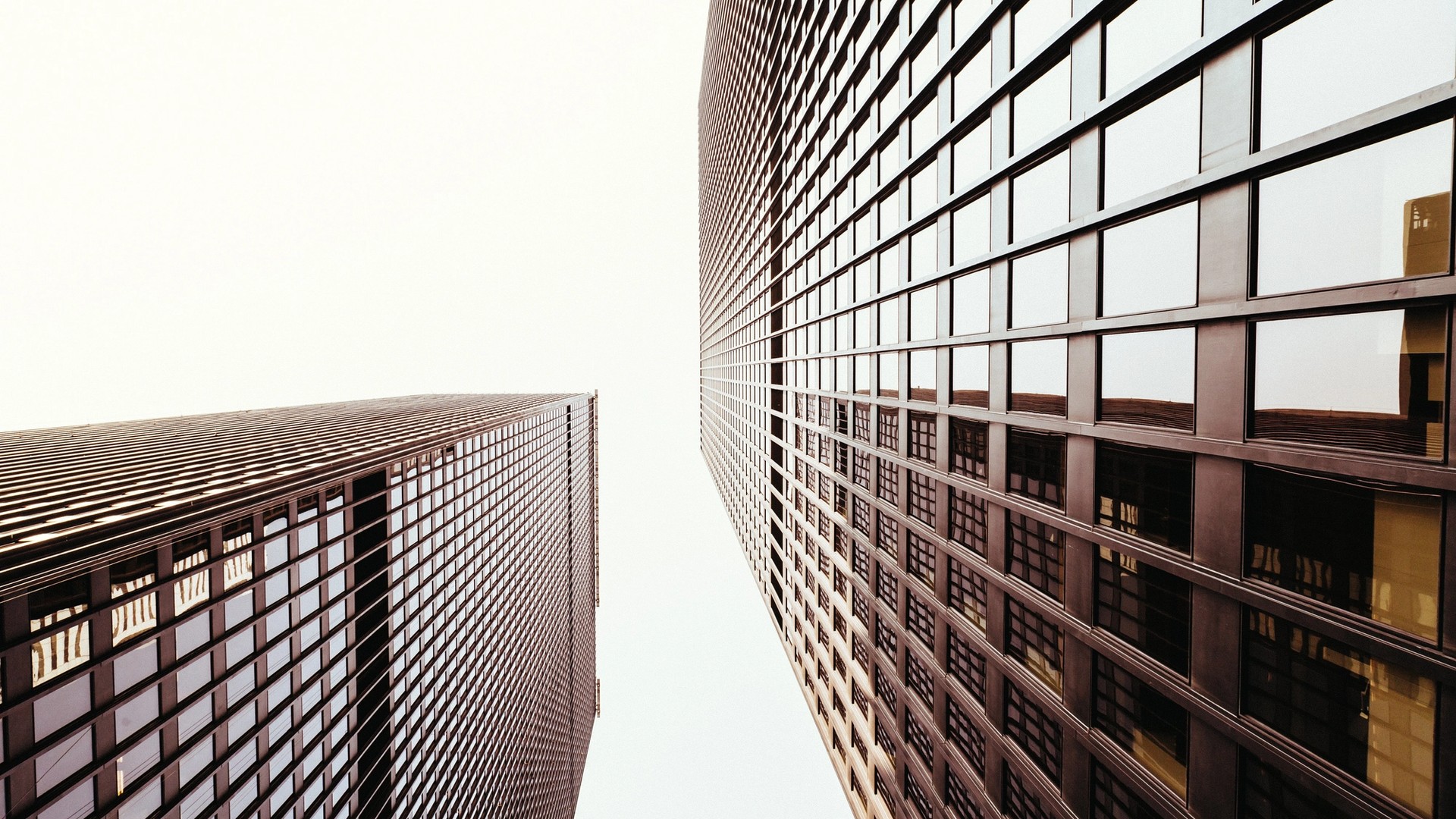 Cover Image for What is a Risk Management Consultant?