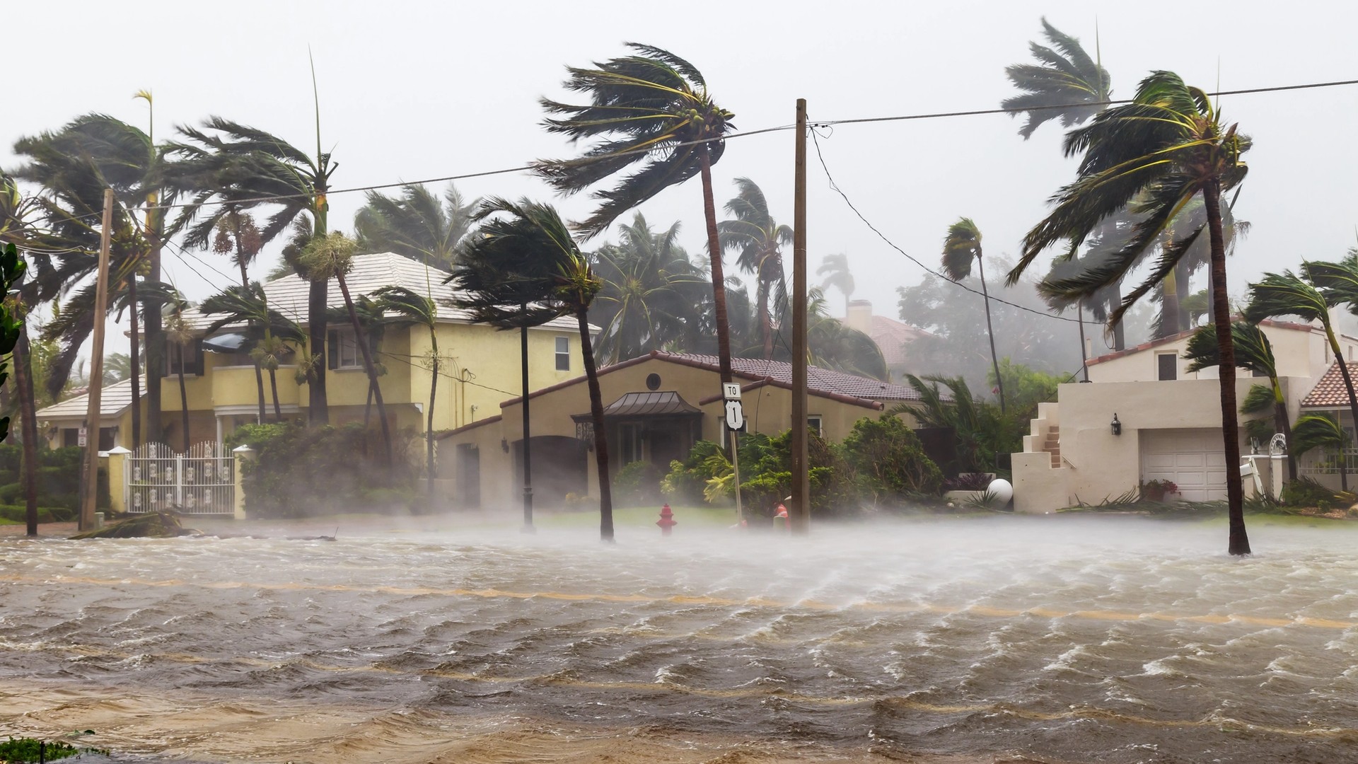 Cover Image for Commercial Hurricane Insurance: What To Know