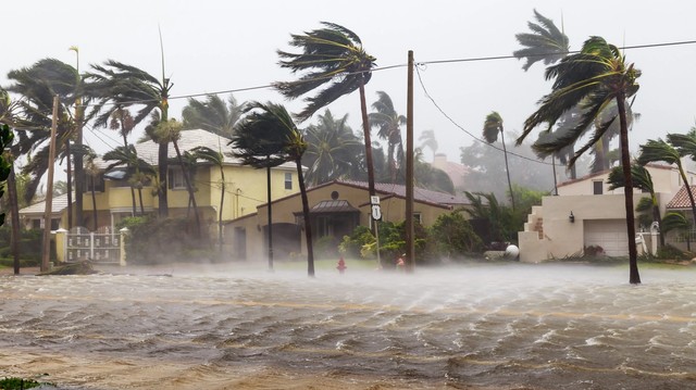 Cover Image for Commercial Hurricane Insurance: What To Know