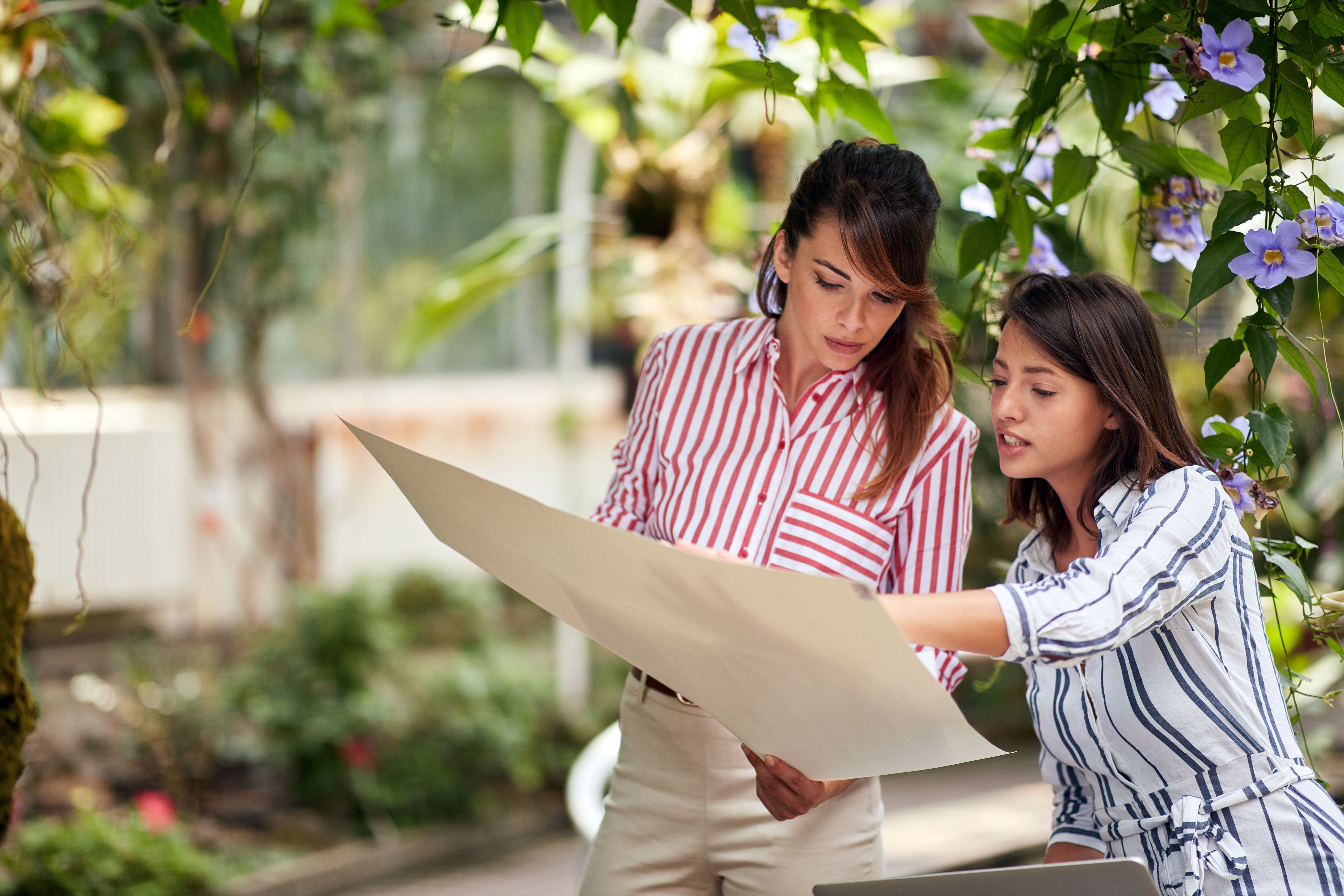 Insurance For Landscape Architects