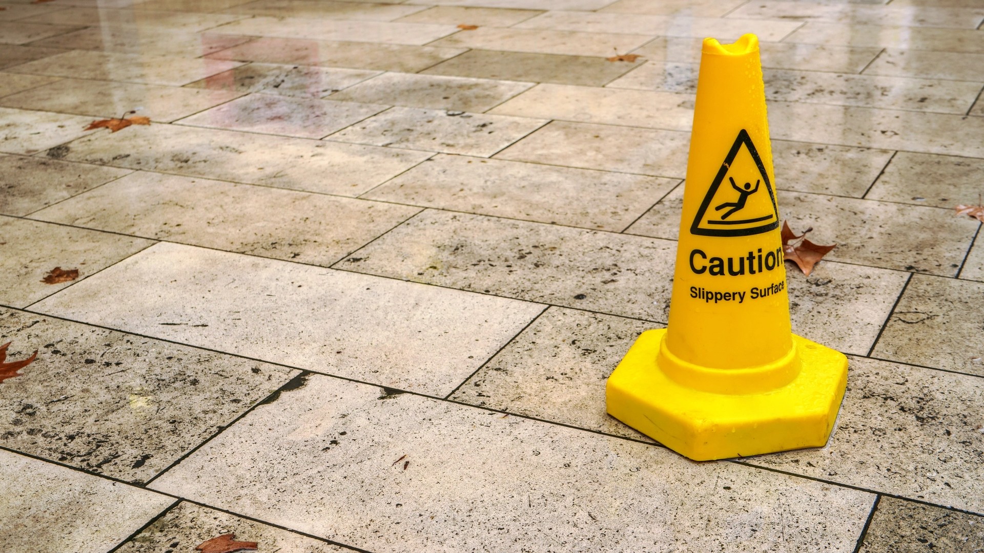 Cover Image for General Liability Vs. Errors & Omissions Insurance - Explained