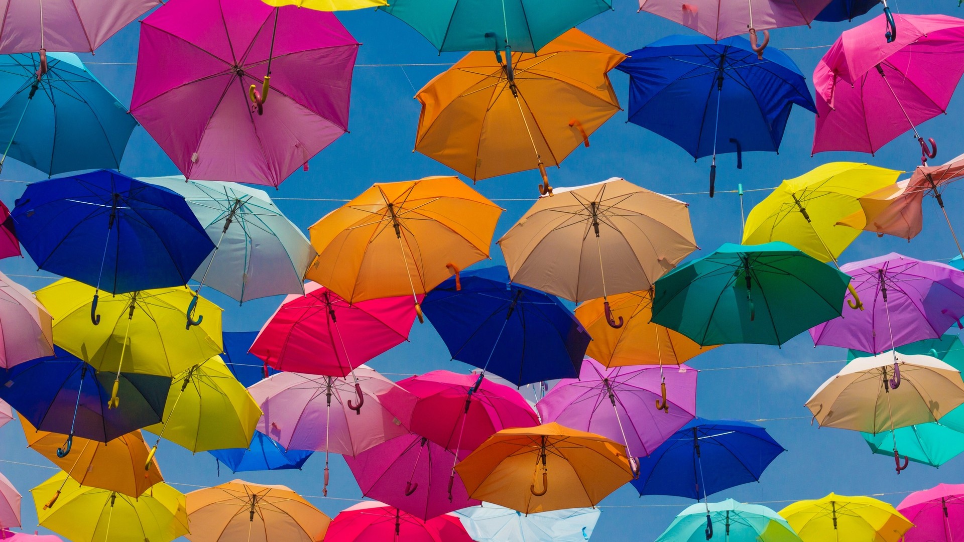 Cover Image for Business Insurance Coverage - An Overview