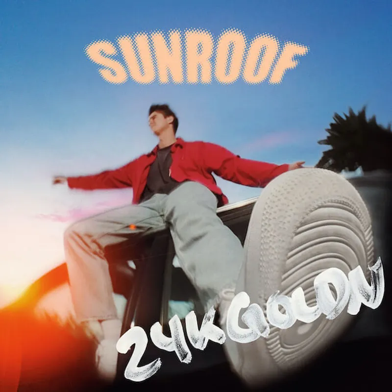 Sunroof Remix Ft. 24kGoldn by Nicky Youre, cover artwork