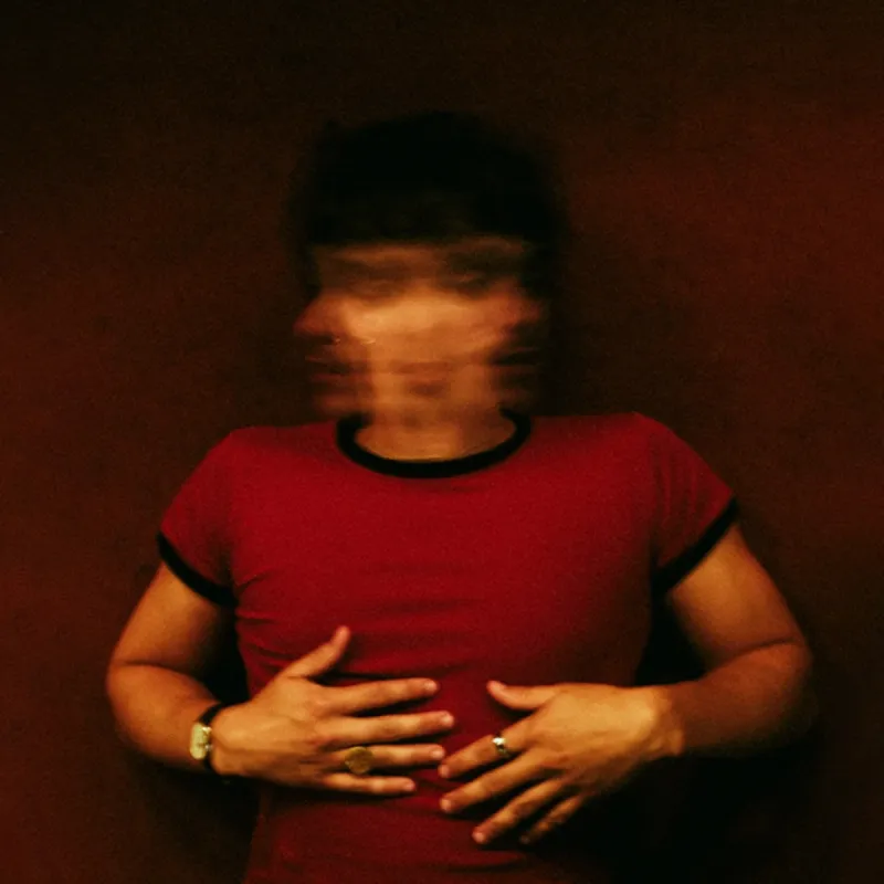 The Shakes by Bradley Simpson, cover artwork