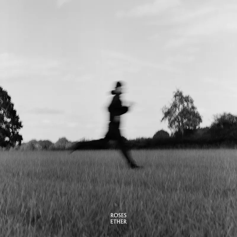 Roses Ether by Maverick Sabre, cover artwork