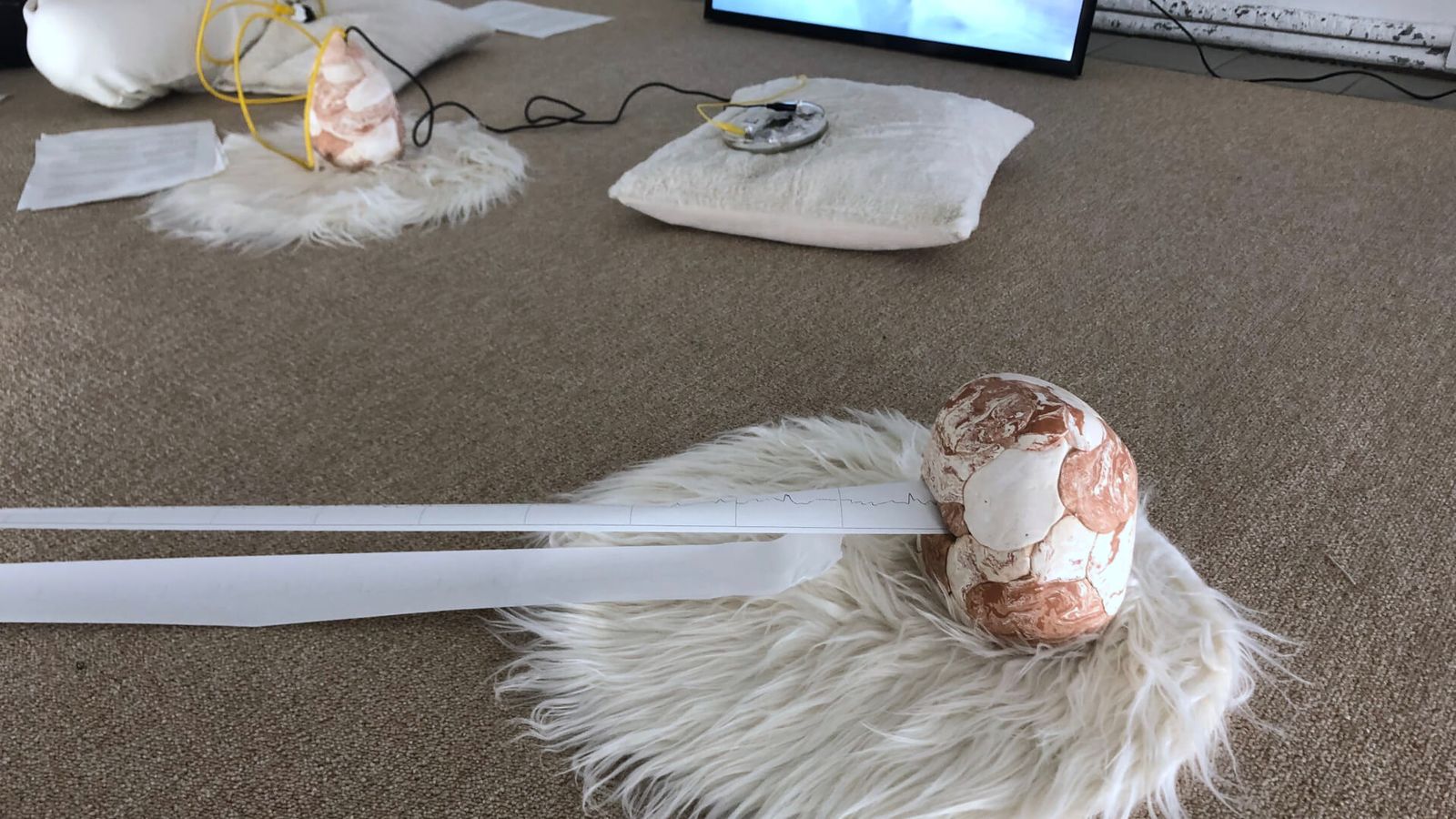 Metabolic Affair: Re-Rooted Bodies (performance)