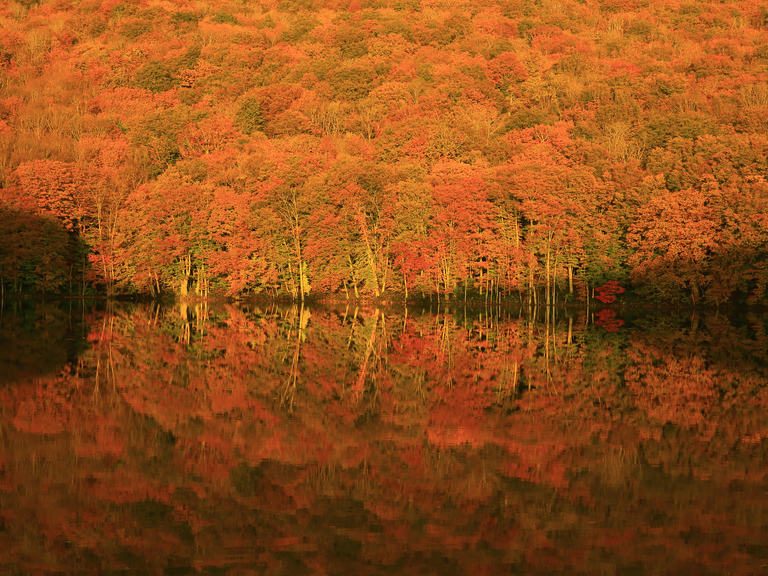 Tautanuma Pond