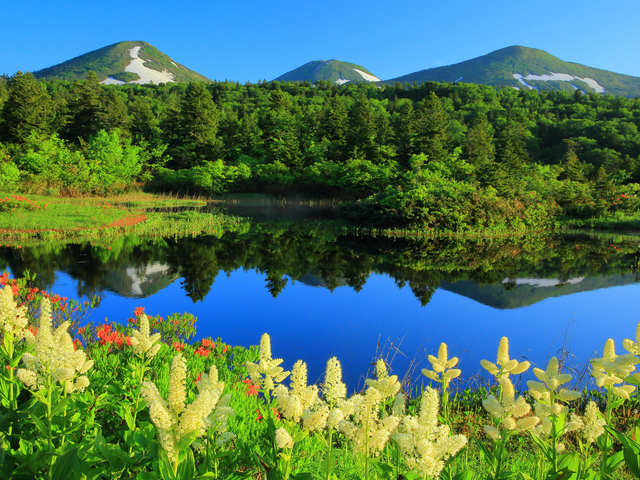 6D5N AOMORI DISCOVERY