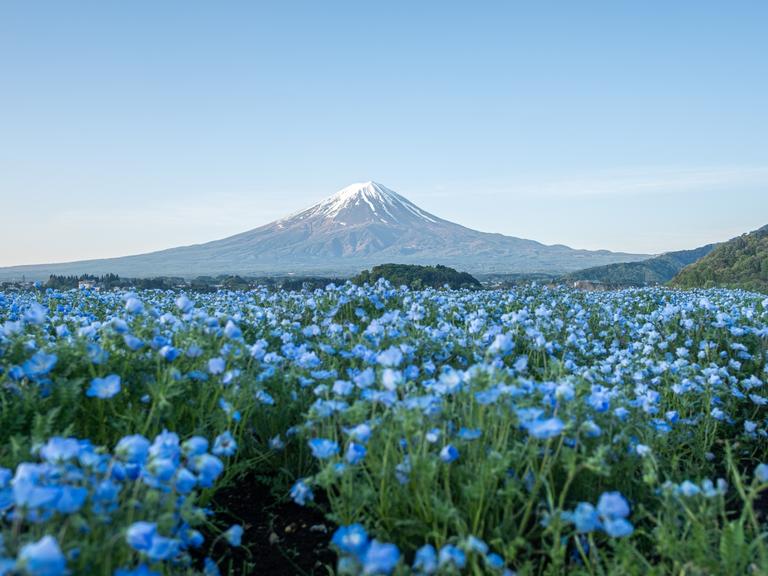Oishi Park
