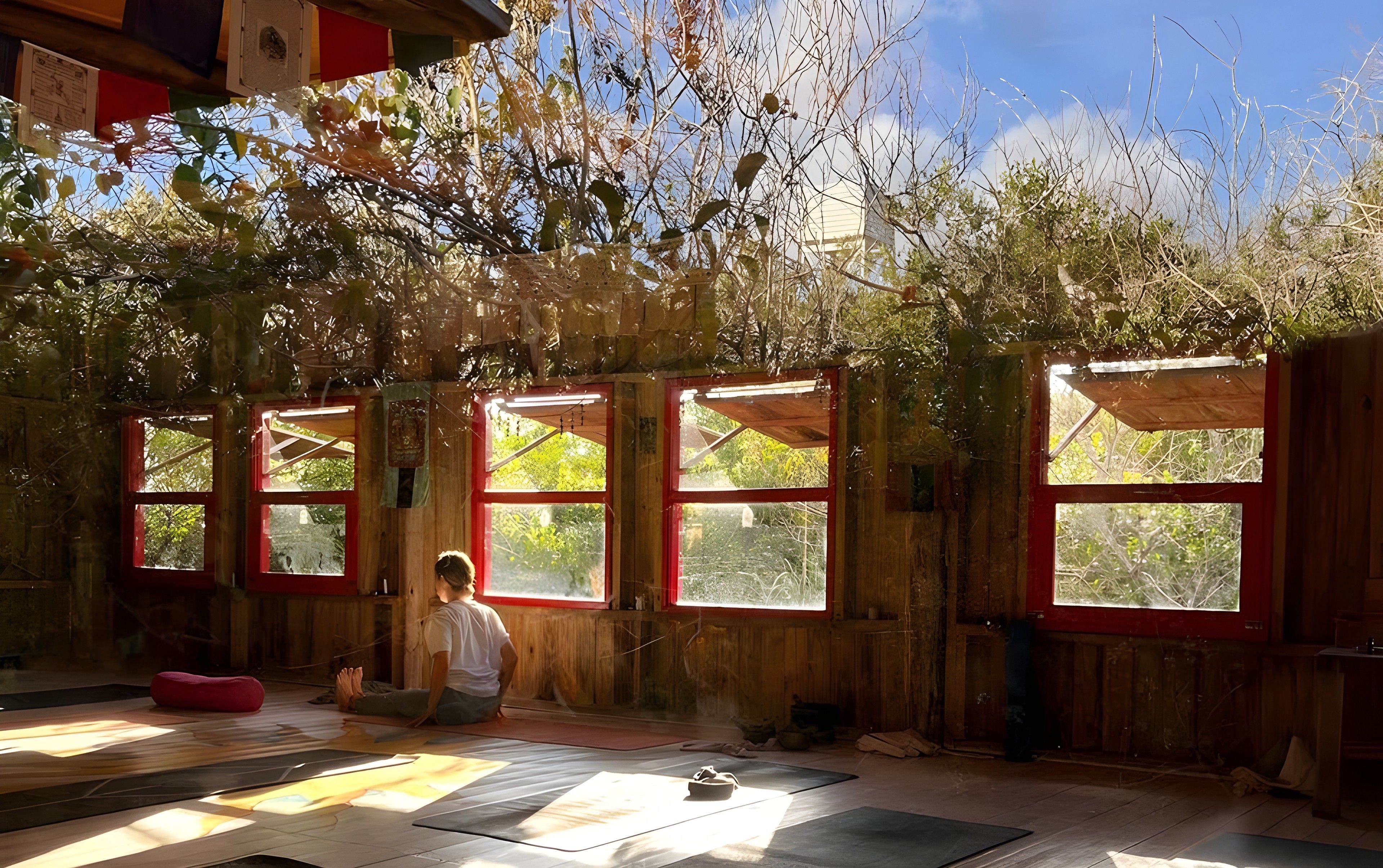 Interior del espacio de yoga de Raíz