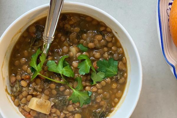 Brown Lentil Vegetable Soup