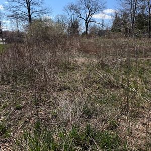 The More You Know: Spring Edition