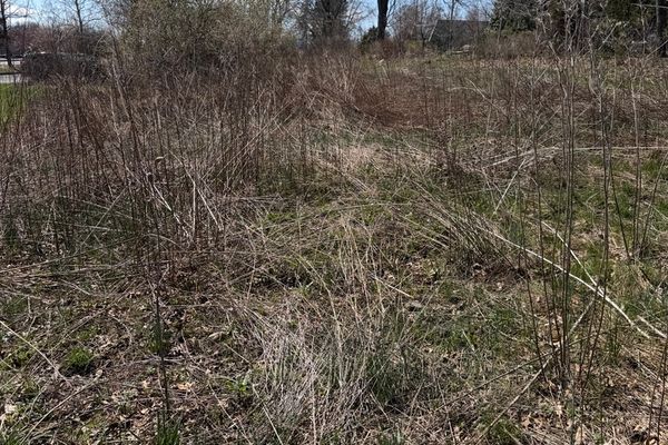 The More You Know: Spring Edition