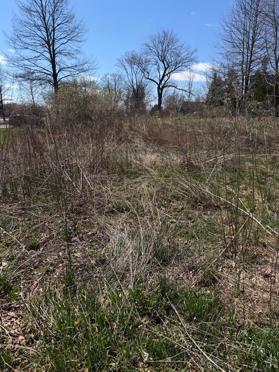 The More You Know: Spring Edition