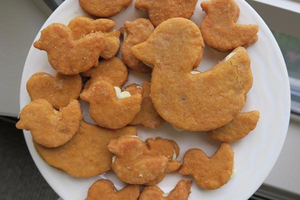Orange/Pineapple/Carrot/Ginger Shortbread Cookie Sandwiches