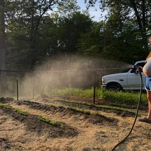 Notes from a Pregnant Gardener