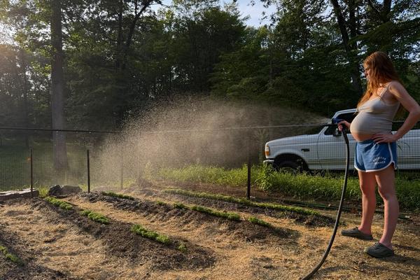 Notes from a Pregnant Gardener