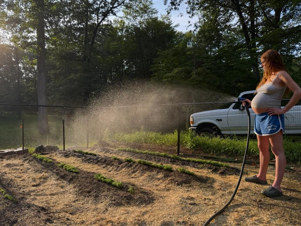 Notes from a Pregnant Gardener