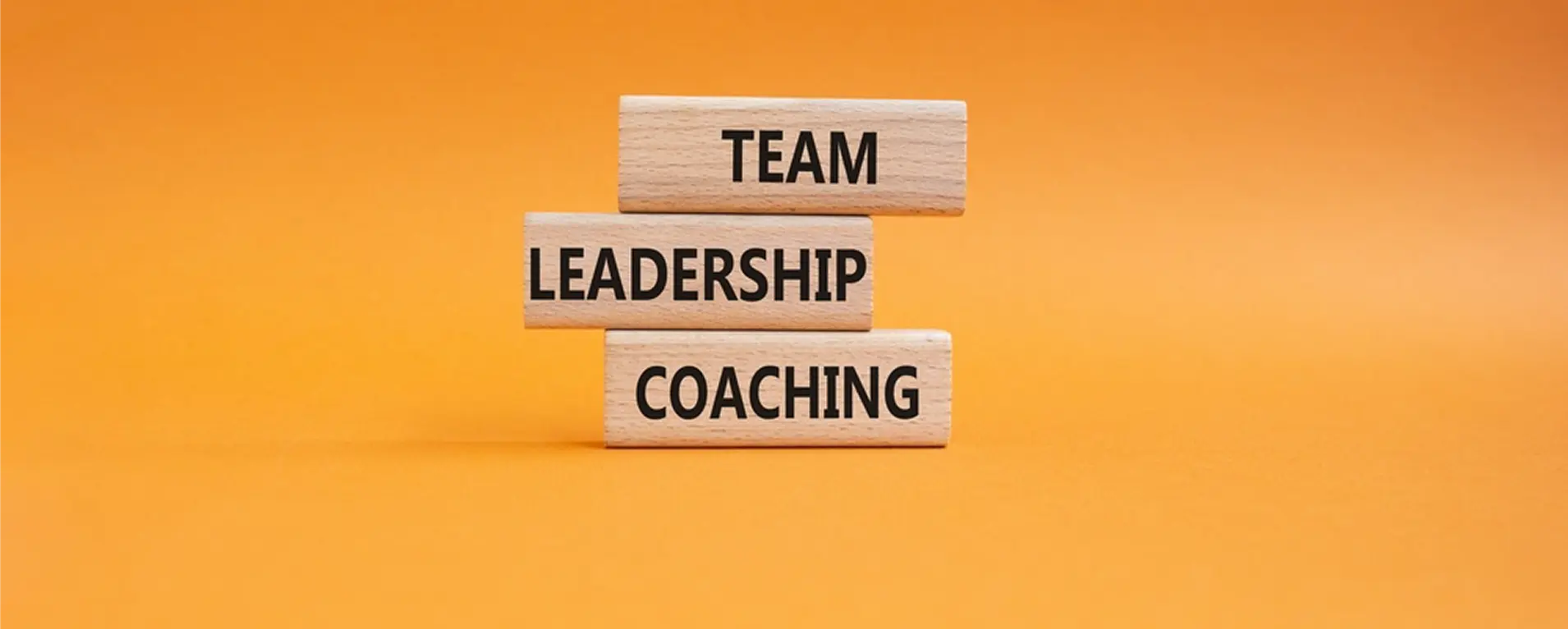 A Leadership Coaching Brand case study