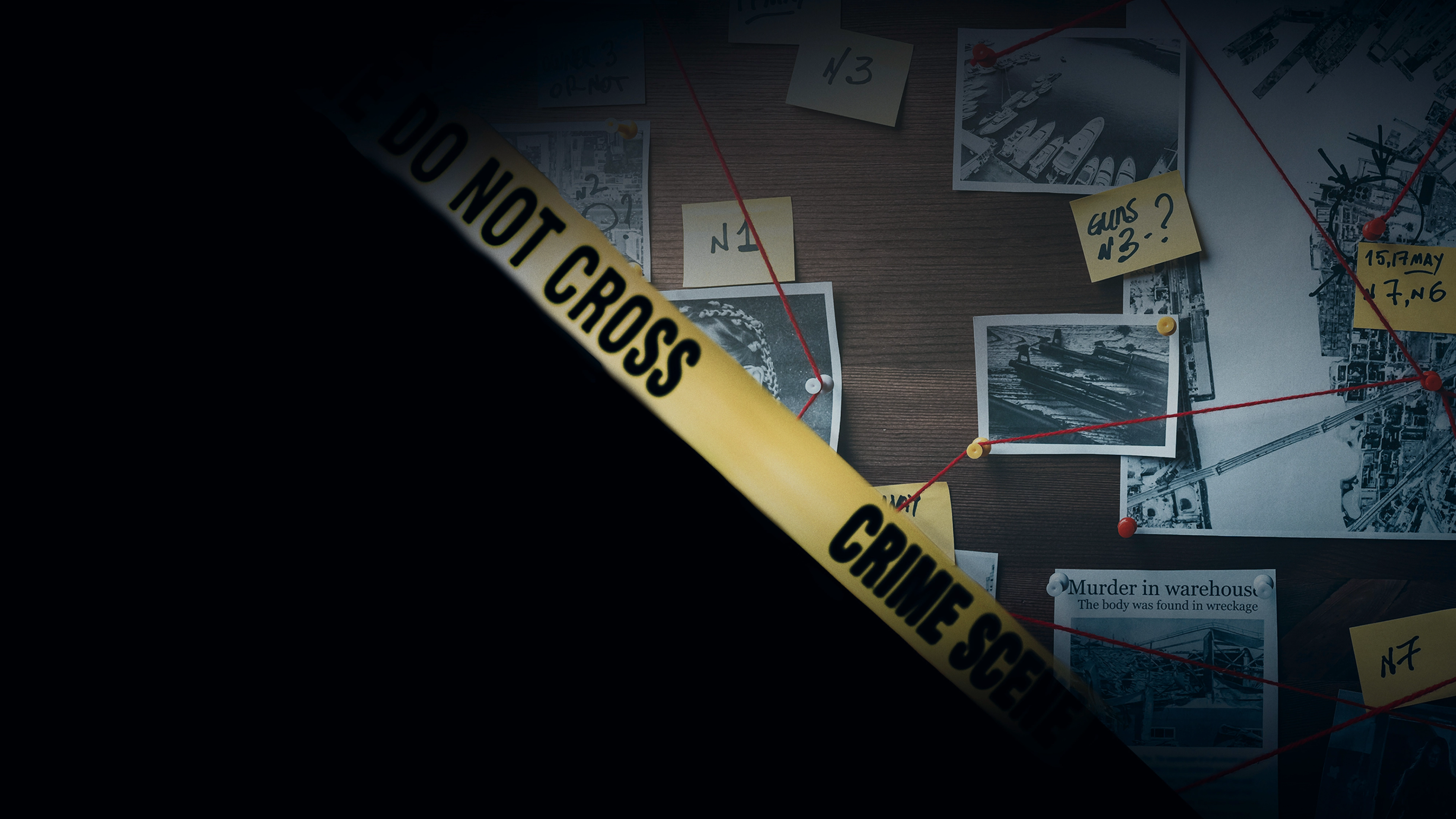 Crime Literature Festival of India case study