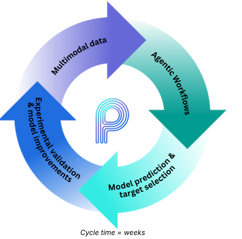 Drug discovery loop: go from data to insights in days/weeks