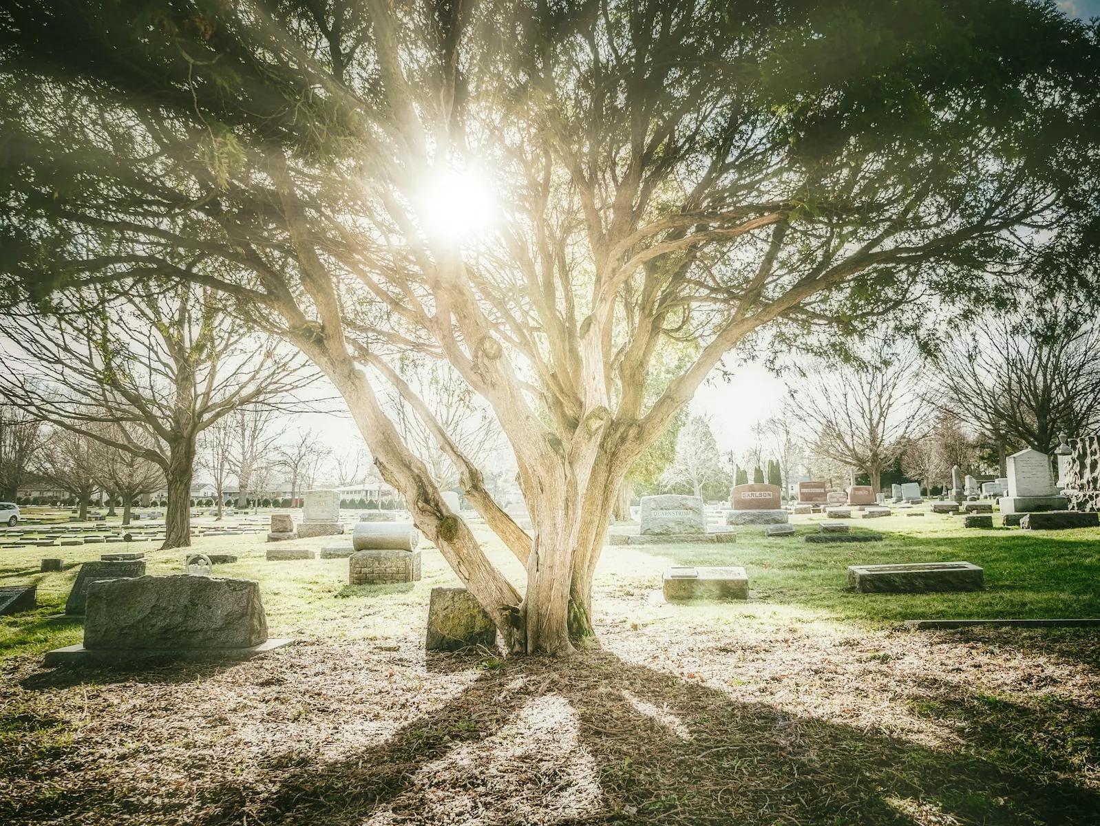 Cemetery negligence and its impact on families may have devastating consequences.