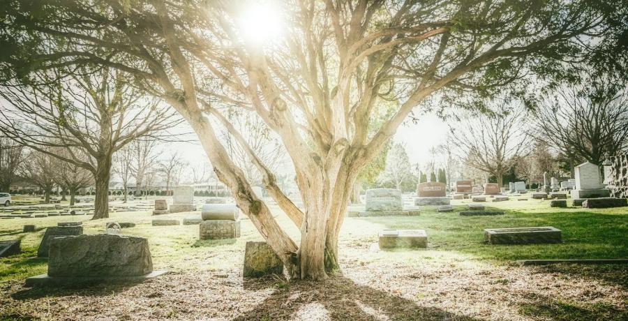 Cemetery negligence and its impact on families may have devastating consequences.