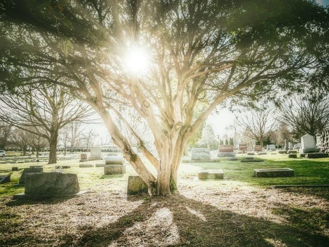 Cemetery negligence and its impact on families may have devastating consequences.