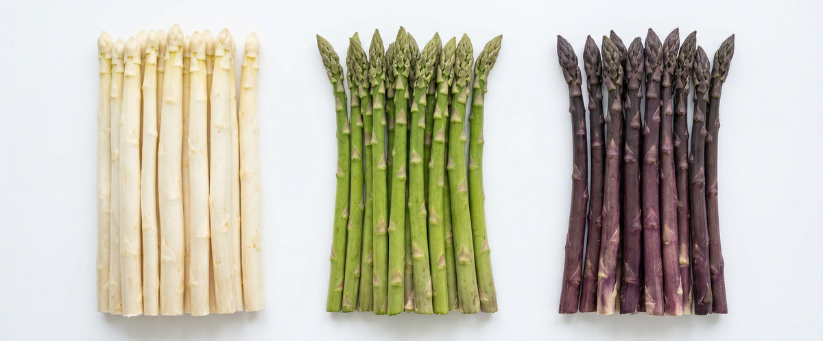 Es gibt weißen, grünen und violetten Spargel
