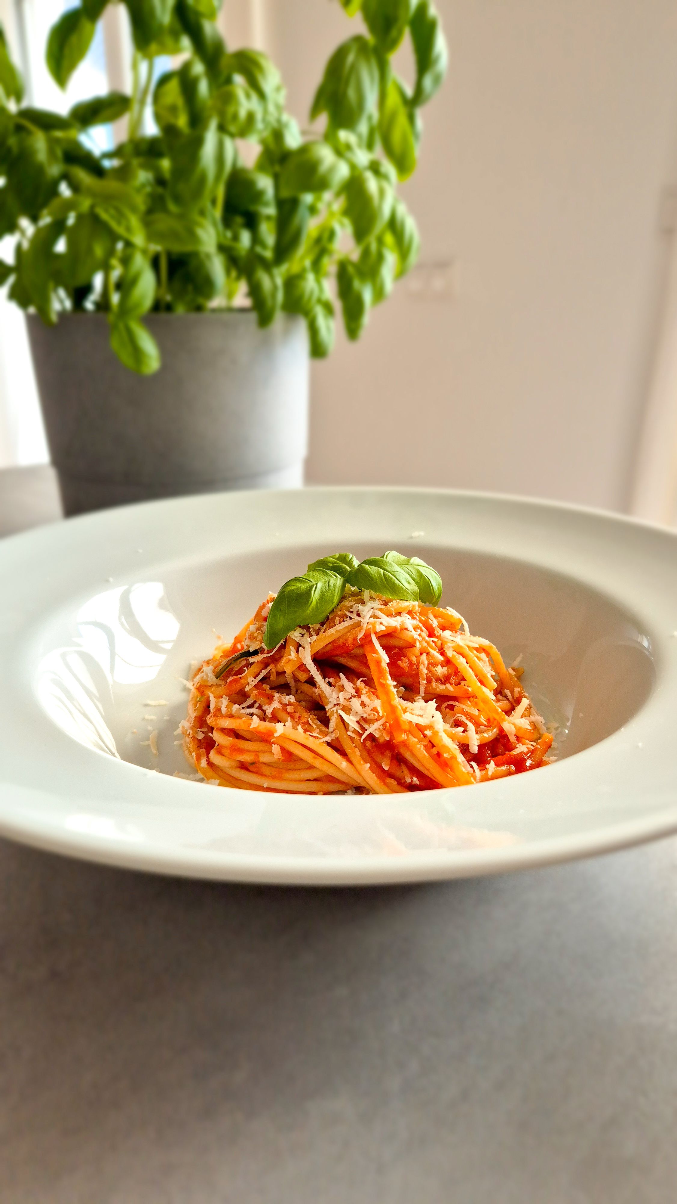 Pasta al Pomodoro- Spaghetti Napoli
