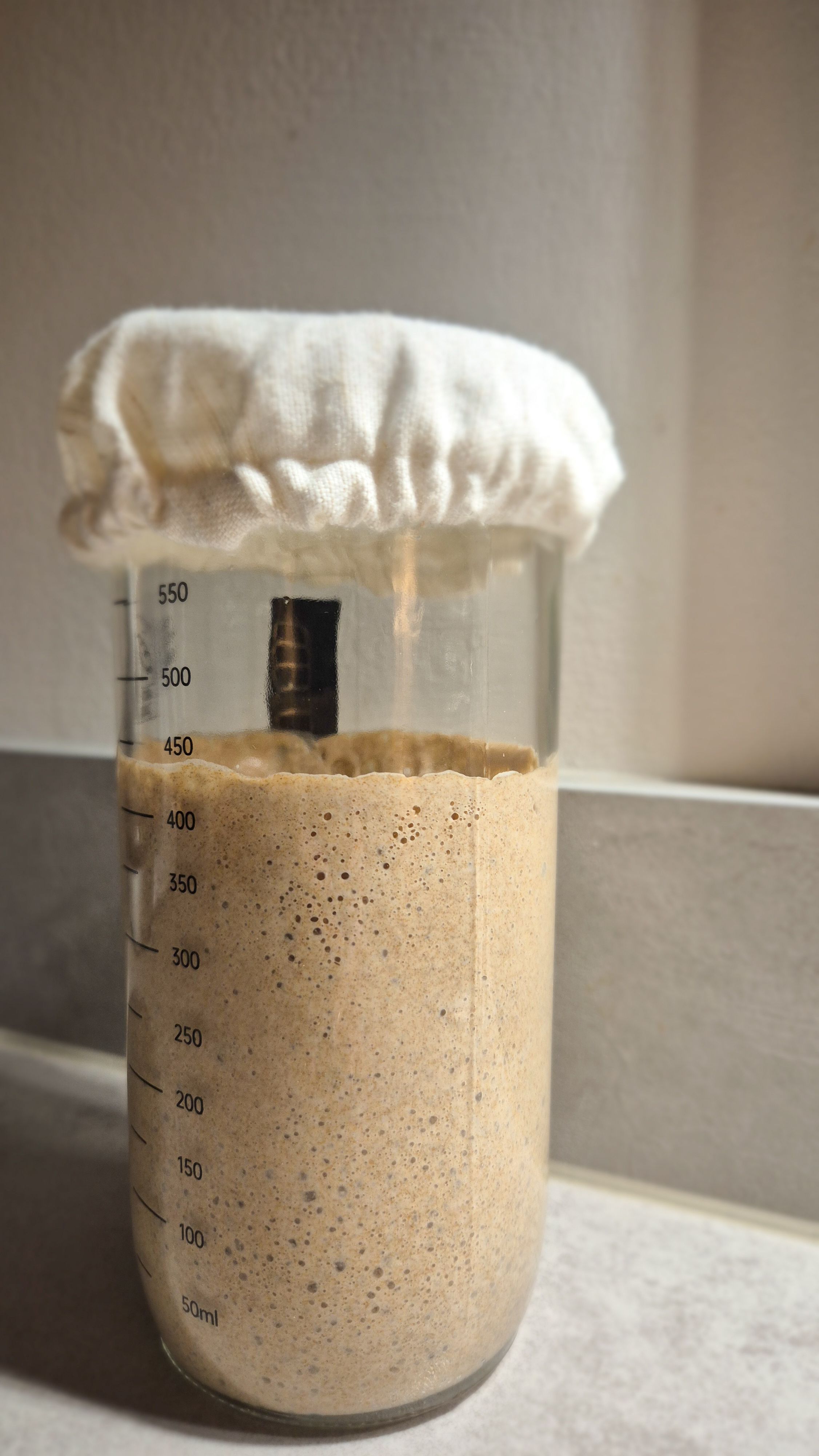 Sauerteig-Starter für Anfänger mit Roggenvollkorn - Bild 3